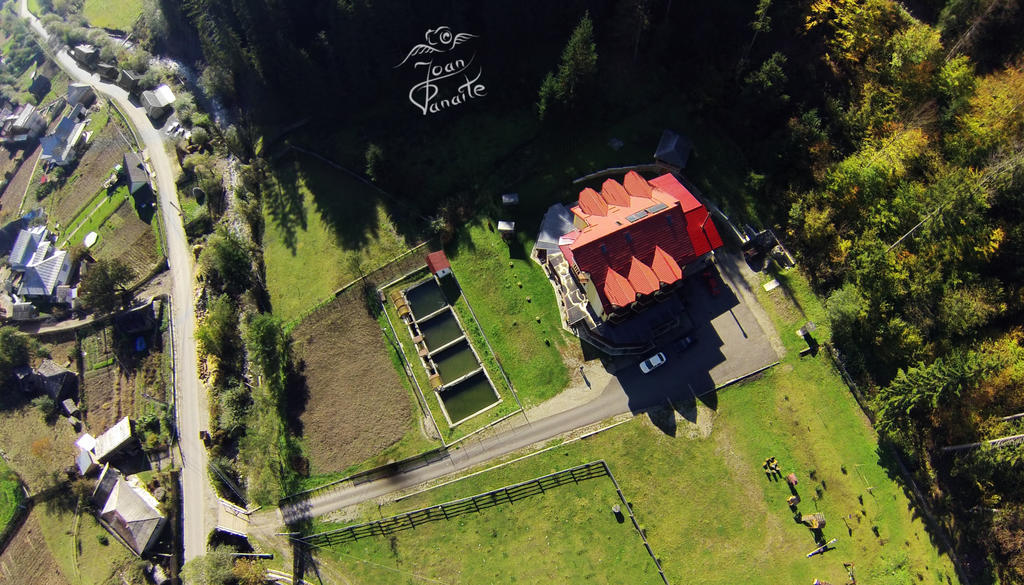 Pensiunea Geona Poiana Teiului Exterior foto