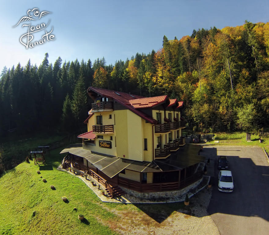 Pensiunea Geona Poiana Teiului Exterior foto
