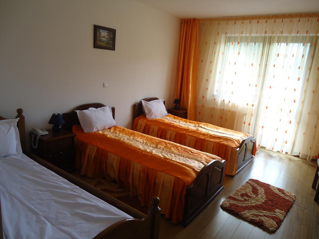 Pensiunea Geona Poiana Teiului Zimmer foto