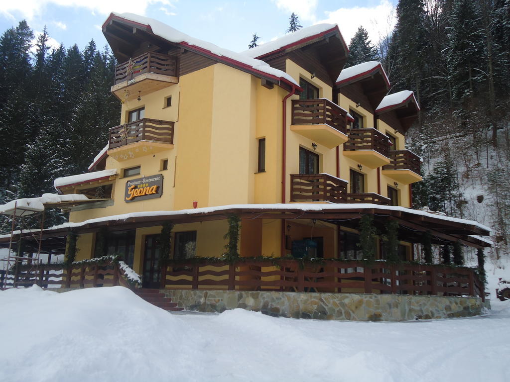 Pensiunea Geona Poiana Teiului Exterior foto