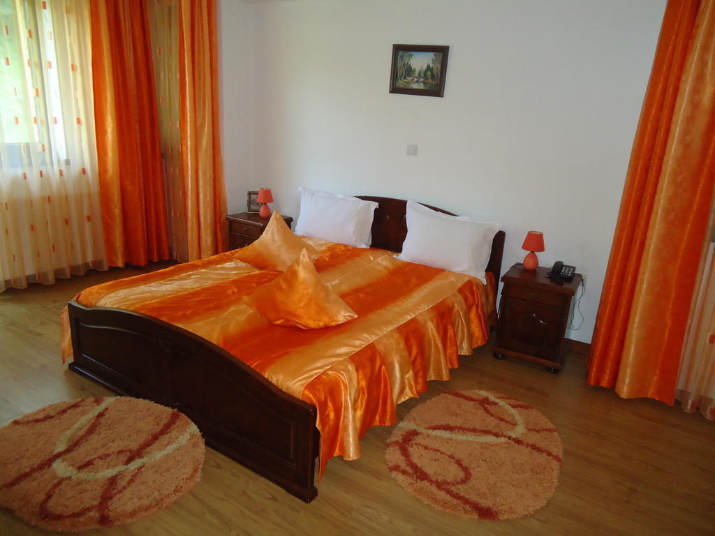 Pensiunea Geona Poiana Teiului Zimmer foto
